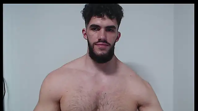Show modela hiddenf na web-kameri
