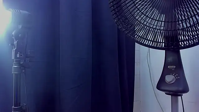 lion_180 webcam show