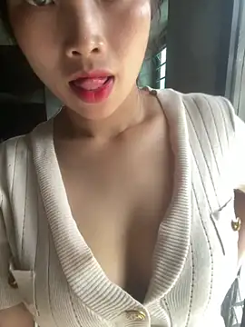 Samso-si Show Webcam
