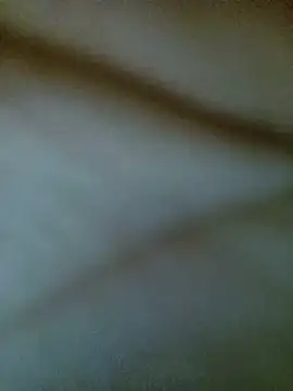 -Sahar 웹캠 쇼
