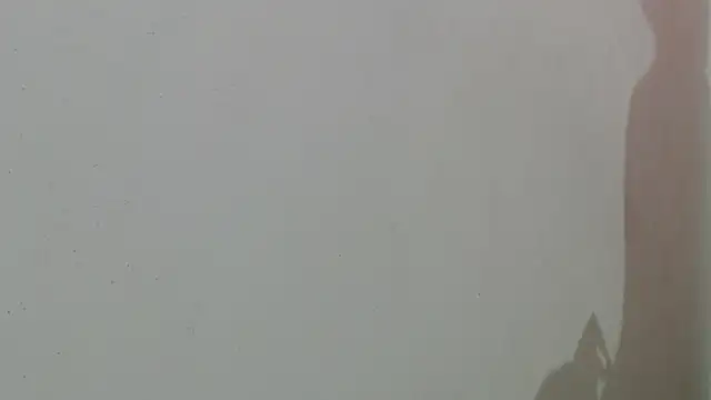 maidycute18 라이브 XXX 채팅