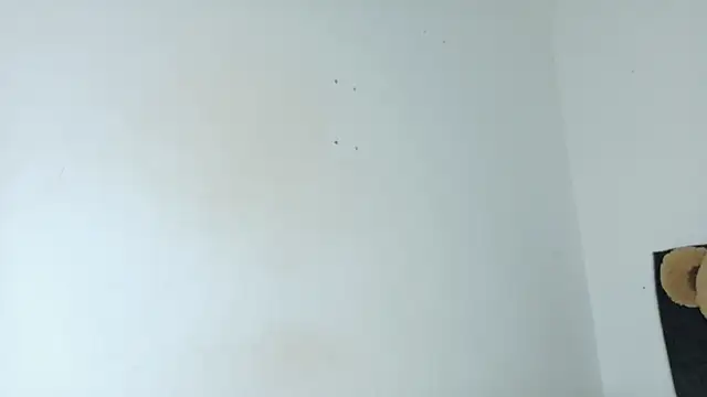 Natashaparker__ 라이브 XXX 채팅
