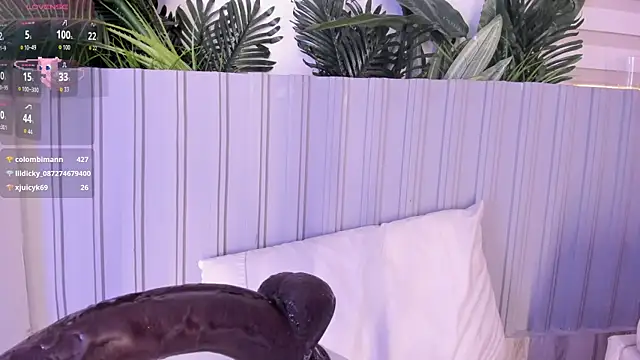 Chat +18 de stephanymonroe ao vivo