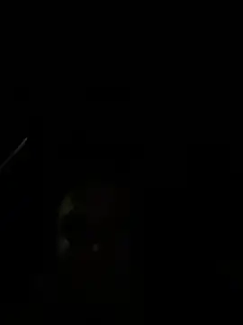 Kate-Paul Live XXX Chat