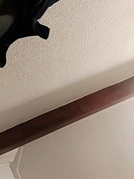 ijustwannafuckyou6969 Webcamshow