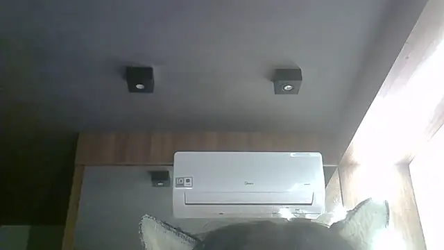 Show de SkinnyKitten na webcam