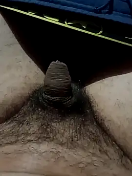 Show webcam de holagato22