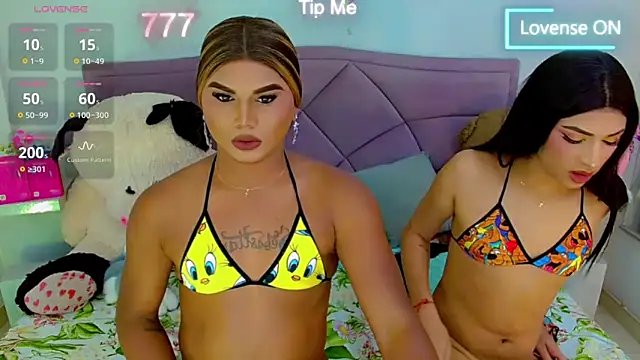 party_duo_trans 网络视讯表演