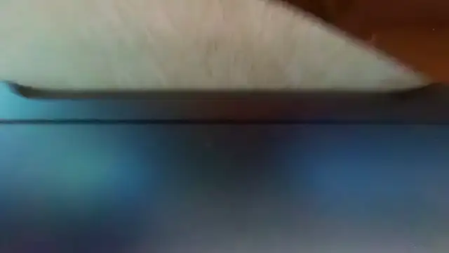 gymshrk Webcamshow