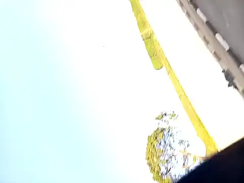 dickcurved38 网络视讯表演