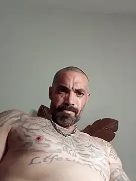 Show Webcam de wesstfine
