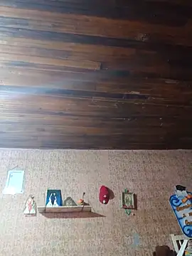 Mlkvzla's Webcam Show