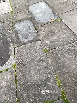 21295868