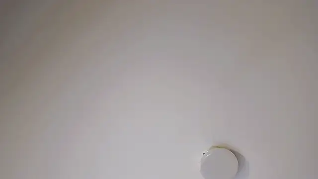 Mia_Jansen's Webcam Show