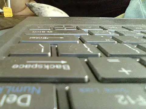 Show Webcam de FROL83