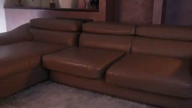 AngeloJancikn Webbikameraesitys