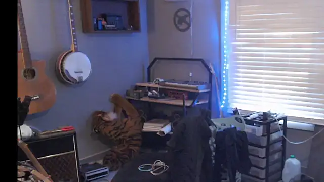 itsjameswebbscope Webcam show