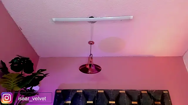 Velvet_Dreamss 라이브 XXX 채팅