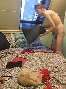 Doggyray44n Webbikameraesitys