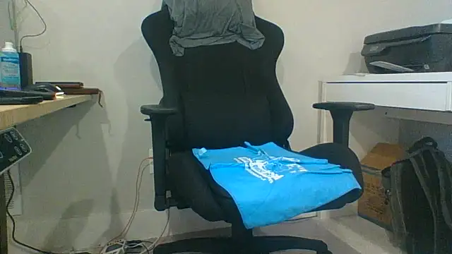 Show webcam de Bloopers66