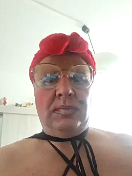 Show webcam de Metaamfetka