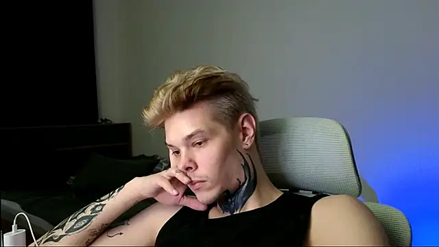 DENIS_HEREのウェブカメラショー