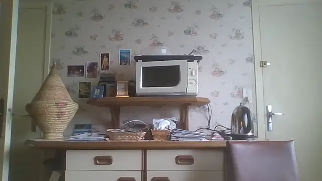 gegevincent5 Show in webcam