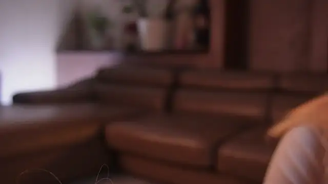 AngeloJancik 网络视讯表演