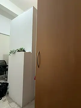 Janemasqueradeporn's Live XXX Chat