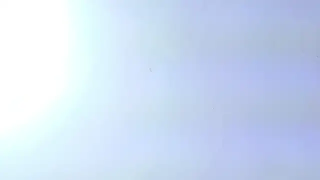 DahianaMoss' Live XXX Chat