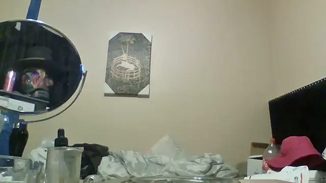 Show Webcam de hailzeffn