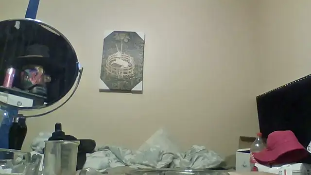 hailzeffn Webcam Show