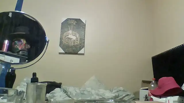 hailzeffn's Webcam Show