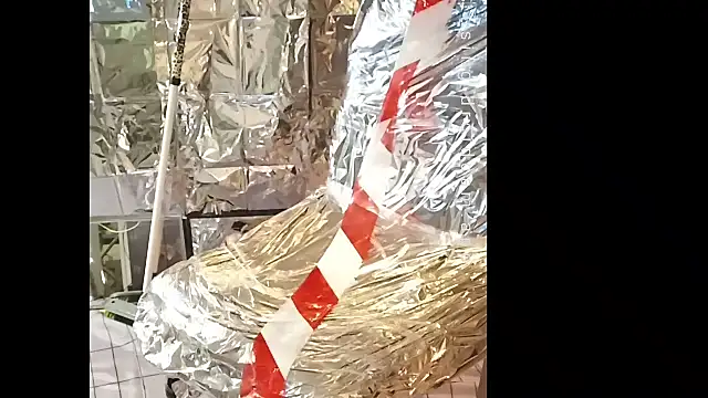 LadyCHAtErleysLover: διαδικτυακό σόου στην κάμερα