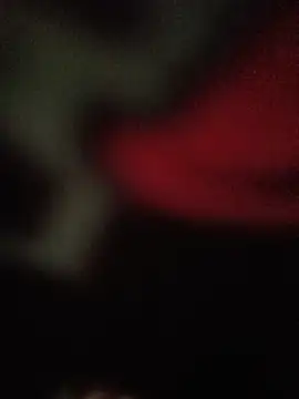 ChuckyyDee Live XXX Chat