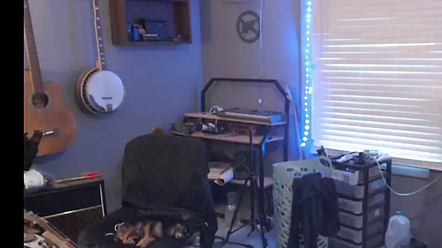 itsjameswebbscope webkamerás műsora