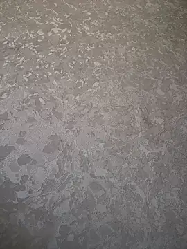 DulceLenns Pertunjukan Webcam