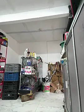 Paul22cm- 라이브 XXX 채팅