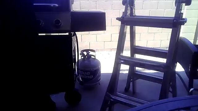 WWGD69's Webcam Show