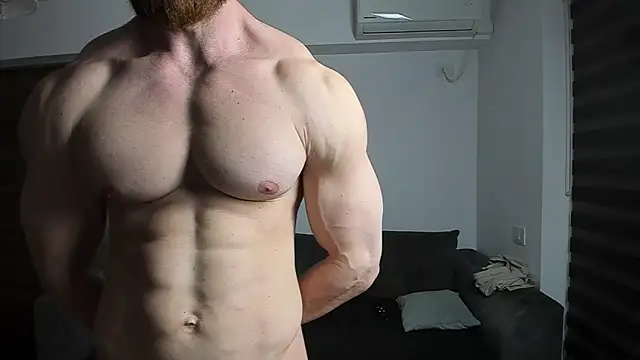 Show webcam de ZkkBlitz