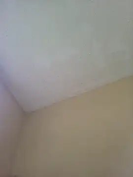 Chat XXX ao vivo de Bonergad
