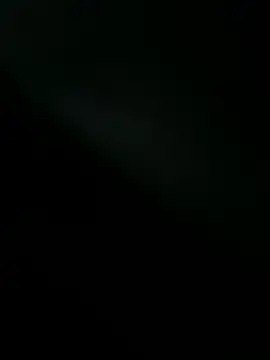 bitsim Webcam-Show