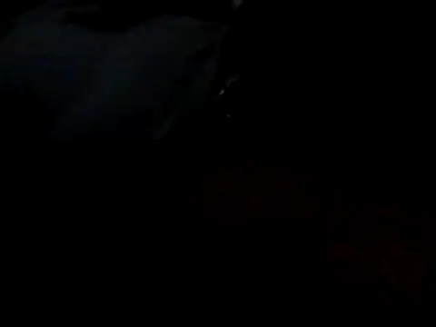 Вебкам-шоу bogbosdick
