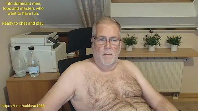 subbear1968 Live XXX Chat