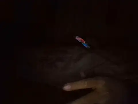 MakeMeCumAhh's Live XXX Chat
