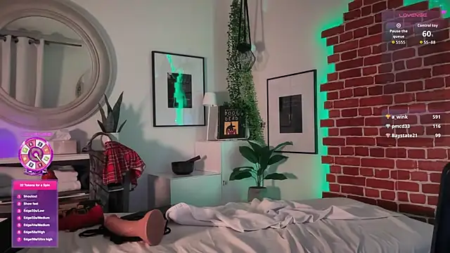 DylanBrook 웹캠 쇼
