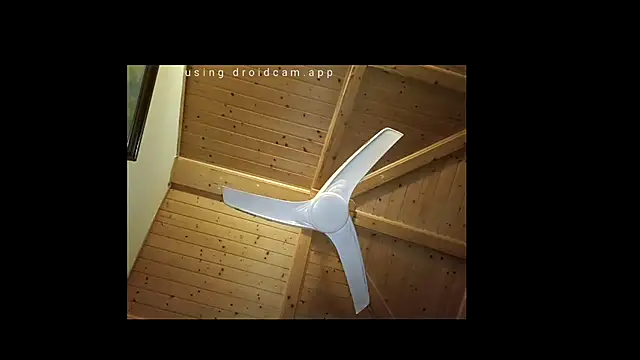 everyoneneeds Show Webcam