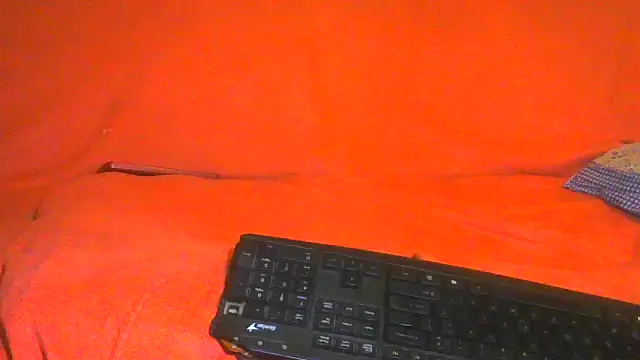TransCya2024 – webcam-show