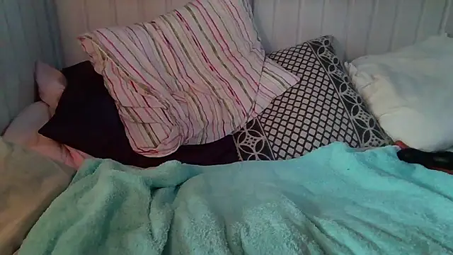 Stock-Holmes webcam show