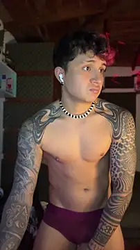 Show webcam de dylan_wels